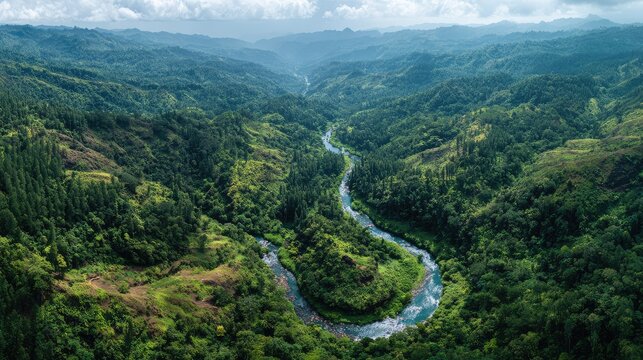 Serene Aerial View of Lush Green Valley with Meandering River Flowing Through Dense Forest and Rolling Hills Under a Bright Blue Sky