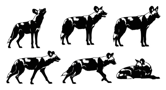 African Wild Dog Silhouette Vector Set in Various Poses
