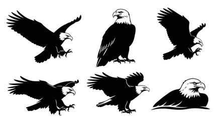 Obraz premium Bald Eagle Silhouette Collection: Majestic Birds in Flight and Perched Poses