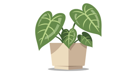 A vibrant illustration depicting a heart shaped philodendron plant in a light beige pot © Rabbi
