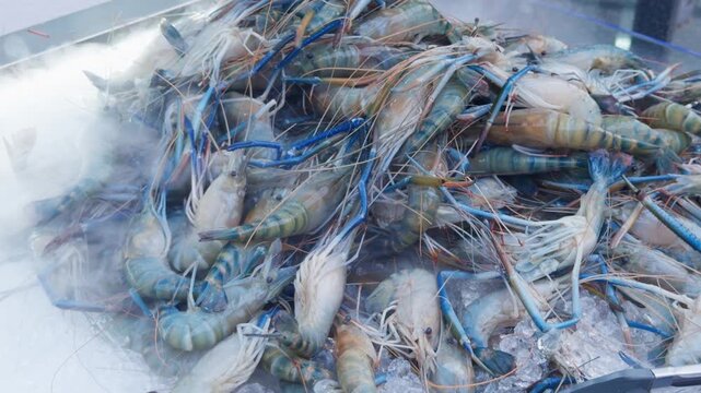 Fresh Blue River Prawns Piled at Thai Seafood Market, Macro Close-Up