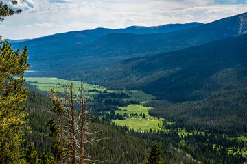 Fototapeta premium Landscape with Evergreen Hillside in Rocky Mountain NP, Colorado