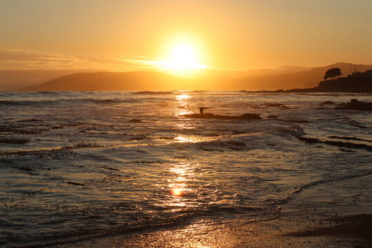 West Coast Sunset at the Beach