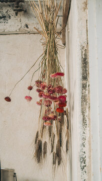 dried flowers hanging from a cafe wall in Stockholm