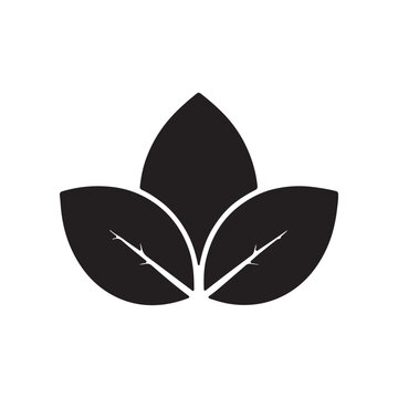 Vector gen (444)_traced