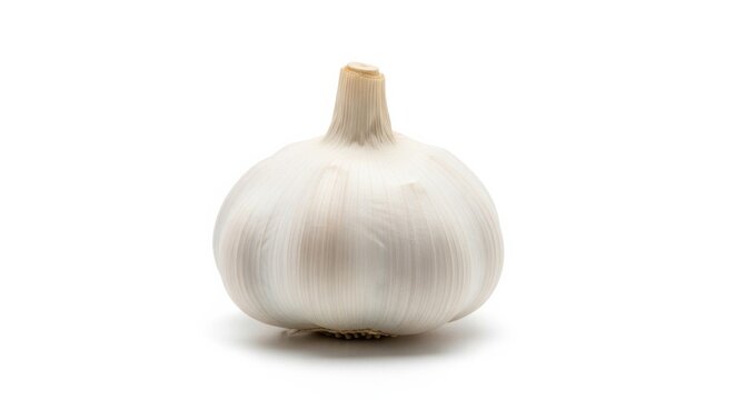 Single Fresh Garlic Bulb Isolated on White Background