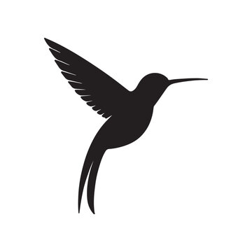 Vector gen (479)_traced