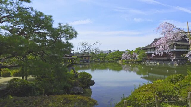 京都　平安神宮　春の神苑を泰平閣と尚美館を望みながら歩く