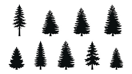 Obraz premium Set of pine tree silhouettes, collection of evergreen coniferous trees, fir tree shapes, forest elements for landscape design