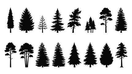 Fototapeta premium Set of black silhouettes of coniferous trees
