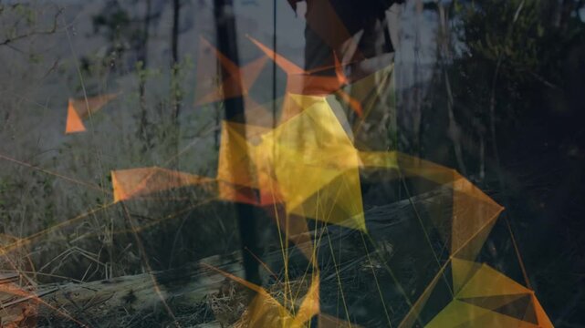 Lead hiker stepping over log using pole navigating trail as amber shapes flashing over hiking boots