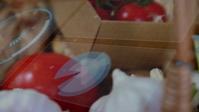 AR fading over garlic bulbs, radar sweeping to tomatoes, camera shifting and aligning for scanning