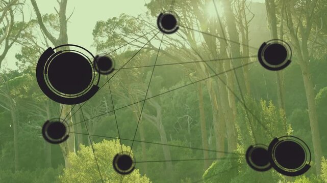 Network overlay on sensor feed shifting up, rotating rings pulsing nodes, showing forest tech data