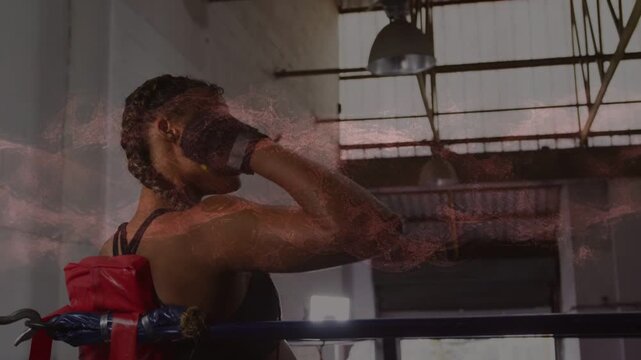 Boxer resting in boxing corner raising glove adjusting wraps preparing next while pink smoke rising