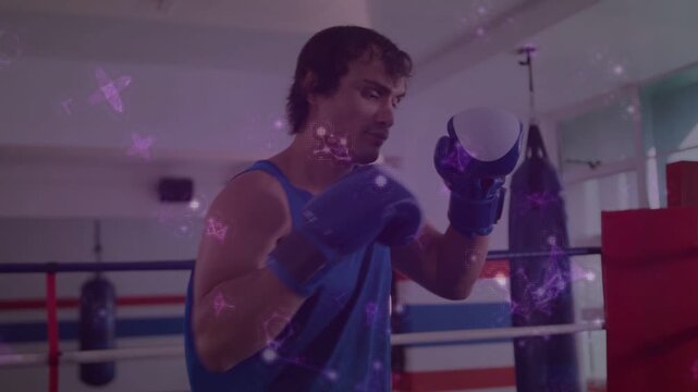 Boxer guarding, checking blue gloves, practicing punches for sports, purple overlay tracing motion