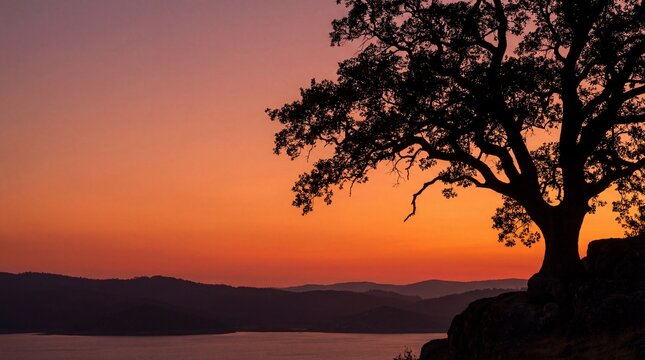 Silhouette of an oak tree over a lake at vibrant orange sunset