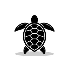 Obraz premium Sea turtle icon with shadow