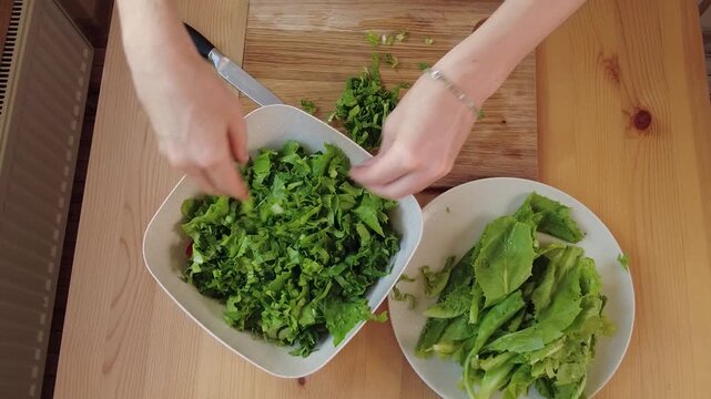 Preparing Fresh, Delicious Greens in the Kitchen for Healthy Dishes