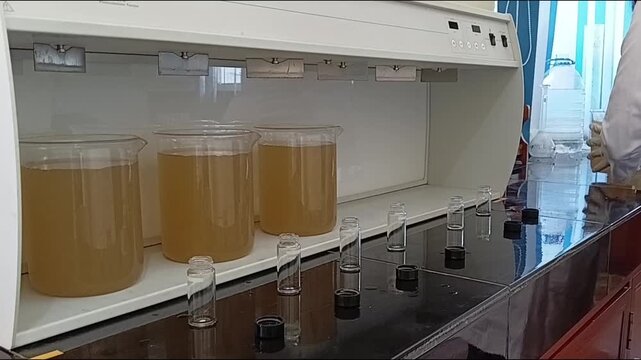 Technician Wearing White Gloves Loading Turbid Water Beakers into Flocculation Tester Machine for Jar Test