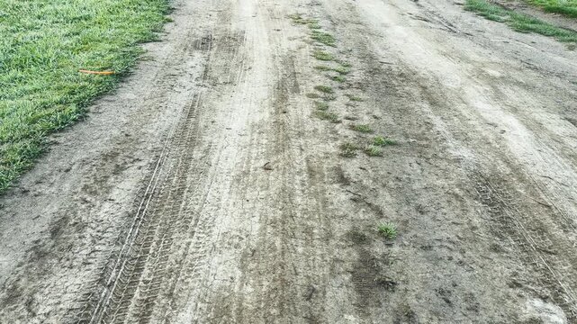 Deep tire tracks cross a dry dirt road next to vibrant green grass. The scene feels quiet and peaceful in the morning light. Nature slowly reclaims the path with small patches of growth.
