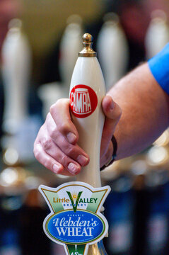 A man pulls a pint of Hebden's Wheat beer at a CAMRA real ale festival.