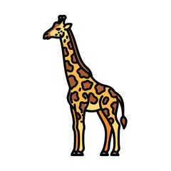 Obraz premium Standing giraffe in profile with brown and yellow spots on white