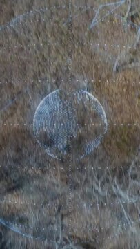 Vertical video: Point-cloud appearing over dry field rotating while strands falling, showing tech