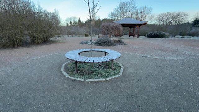 A circular wooden bench, coated in white frost, surrounds a young sapling in an open clearing. The quiet park and distant pavilion create a feeling of chilly solitude and peaceful morning rest.