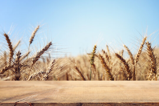 Empty table and wheat of field background
