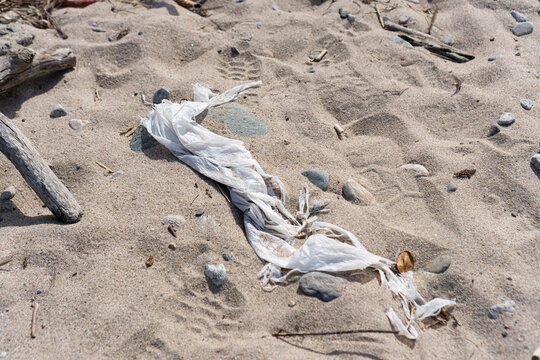 広大な砂浜に放置された海洋プラスチックのビニールゴミ。流木や石が混ざる海岸に漂着したゴミが引き起こす深刻な環境破壊。SDGsや海洋保護、ゴミ拾いボランティアを啓発する、引きの構図で現状を伝える横位置の自然環境素材。