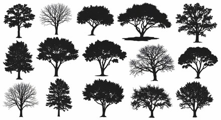 Obraz premium Whispers of the Woodland: Silhouettes in Bloom