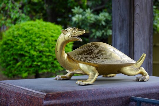 幸運の金の亀　埼玉県蕨市三學院