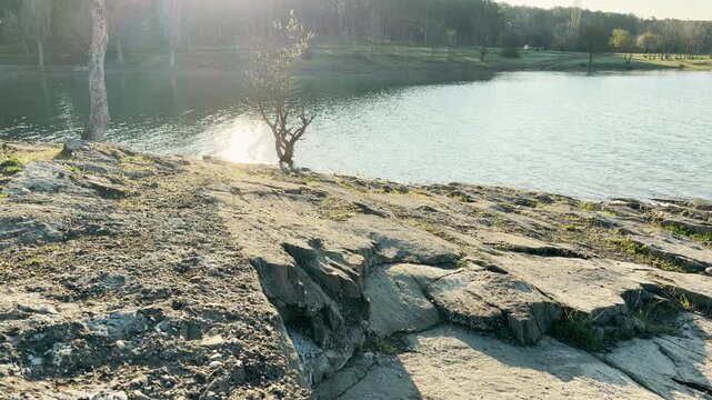 Warm sunlight reflects off a peaceful lake behind a rugged, stony bank. A lone tree stands by the water, surrounded by a distant, misty forest. This scene feels hopeful and deeply serene.