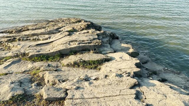 Layered stone plates reach out to meet the gentle ripples of a bright lake. Small green plants cling to the cracks, showing life's quiet strength. The scene feels steady, timeless, and very peaceful.