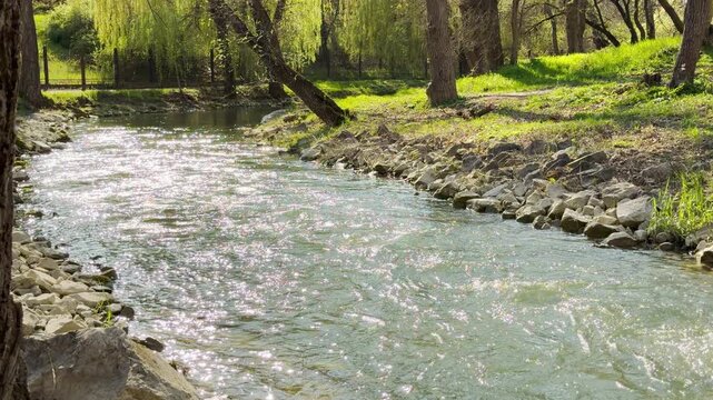 Glistening water winds through a peaceful, sun-drenched park. The vibrant green grass and tall trees create a joyful, relaxing atmosphere. Soft light dances across the surface of the stream.