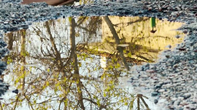 Green trees and a bright building reflect beautifully in a calm rainwater puddle. This peaceful scene captures a quiet, hopeful moment after a storm. The golden light creates a warm feeling.