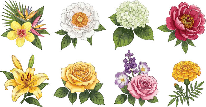 Beautiful Flower Collection with Rose, Peony, Hydrangea, Lily, and Tropical Blossoms in Detailed Botanical Style for Wedding Design, Floral Illustration, and Decoration