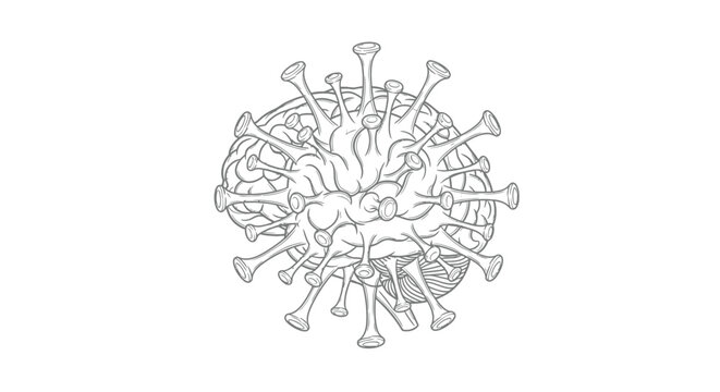 A detailed black and white illustration depicts a coronavirus with prominent spikes resembling a cellular structure