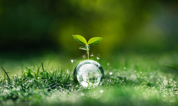 ESG icon concept in the hand for environmental, social, and governance in sustainable and ethical business on the Network connection on a green background.