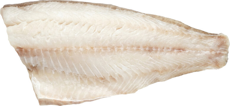 Fresh raw cod fish fillet isolated on transparent background
