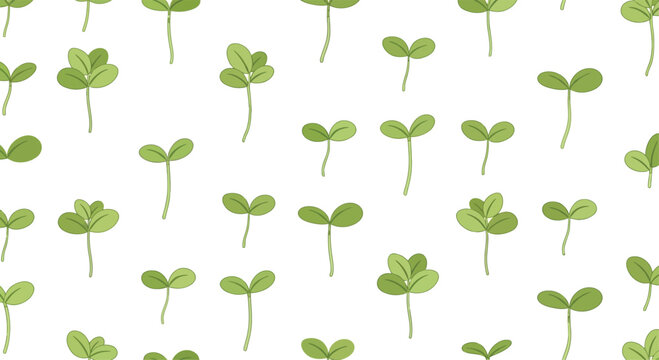 Seamless pattern of green clover sprouts with two and three leaves on white background, seedling leaf