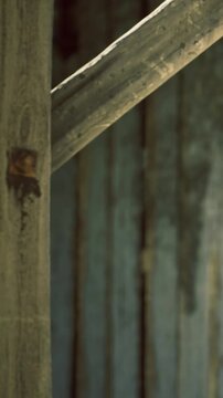 Weathered wooden beams rise majestically in an abandoned barn, casting soft shadows that reflect its rustic charm and bygone stories of rural life and agricultural adventures.
