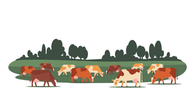 A diverse herd of brown and white cows grazes peacefully across a vibrant green meadow backed by a dense line of dark green trees.