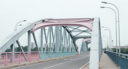 Fototapeta premium Impressive Steel Bridge Structure with Pastel Accents Supporting City Traffic