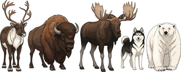 Wild North Animals Collection with Reindeer, Bison, Moose, Husky, and Polar Bear, Arctic and Forest Wildlife Characters © MD