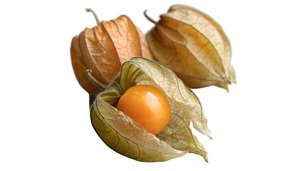 physalis showing the unique shape and texture of its husk with a bright yellow-golden berry inside isolated on transparent background  © Olga