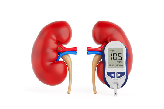 Diabetes Monitoring And Kidney Health Concept. Human Kidneys With Glucose Meter. 3D Rendering