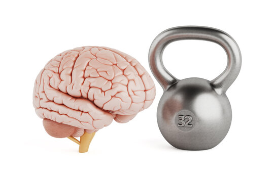 Mental Strength And Cognitive Fitness Concept. Human Brain Beside Metal Kettlebell. 3D Rendering