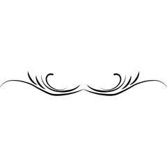 Fototapeta premium Elegant Flourish Decoration