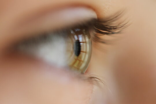side close up of an eye